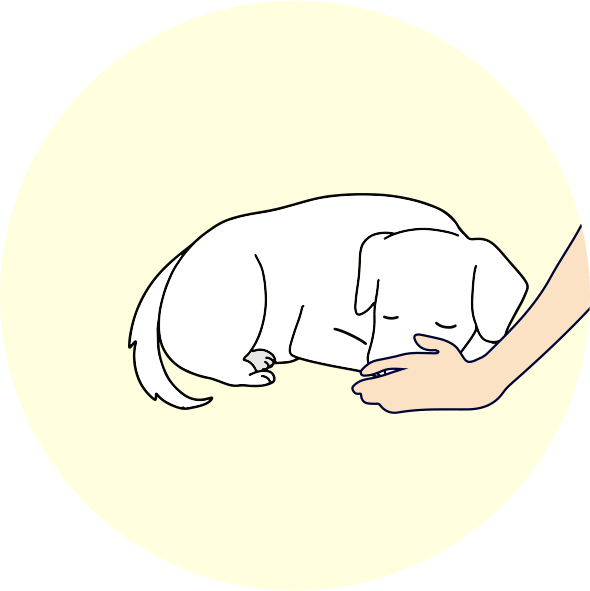 呼吸が停止しているか確認