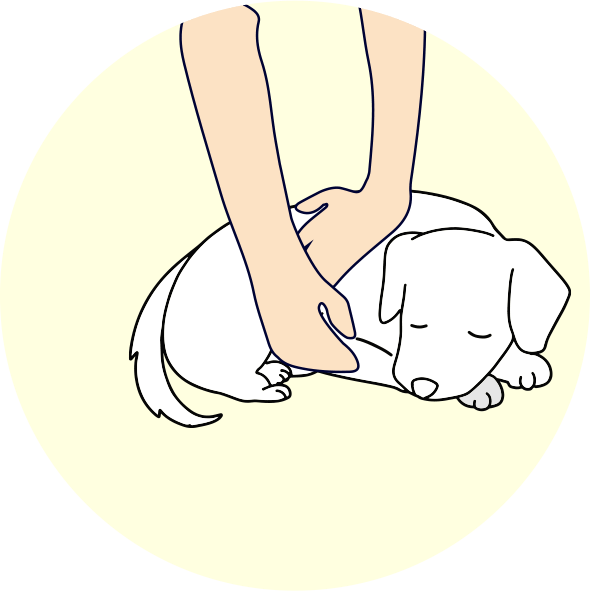 心拍・脈が停止しているか確認