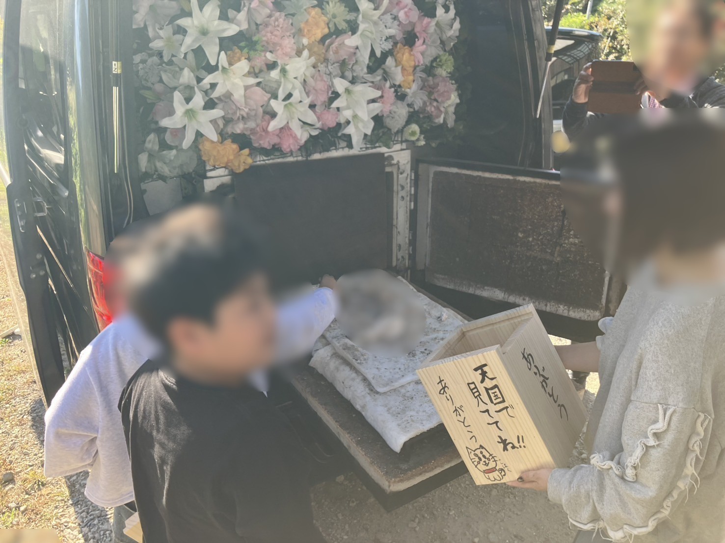 唐津市で4歳6ヶ月の柴犬ちゃんの旅立ちをお手伝いしました