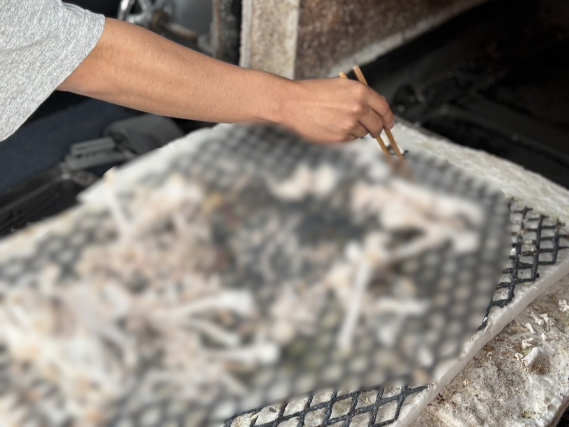 神埼市でお外で遊ぶのが大好きだった柴犬ちゃんをお見送りしました