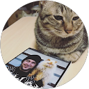 ねこみみ profile picture
