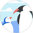 まんまるまるくる profile picture